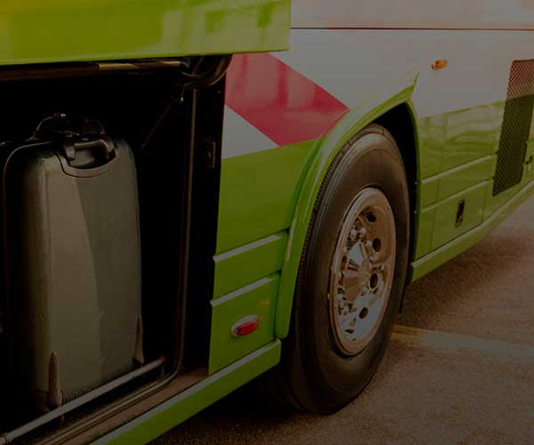 Group transfers in Los Cabos
