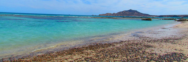 Transportation to Cabo Pulmo