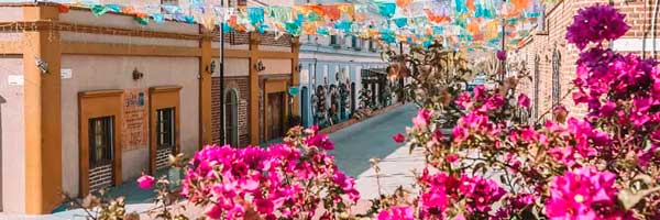 Transportation to Todos Santos