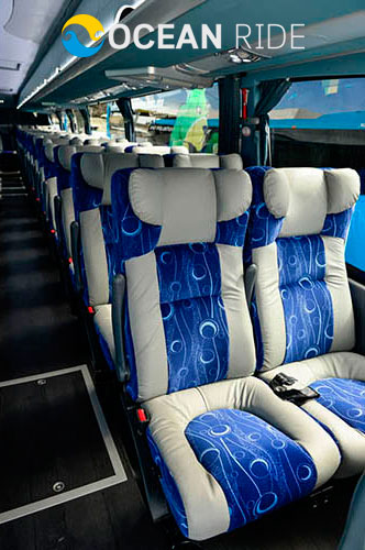 Cabo Bus Transportation