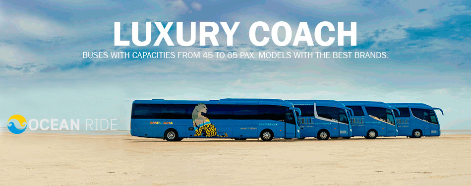 Cabo Bus Transportation